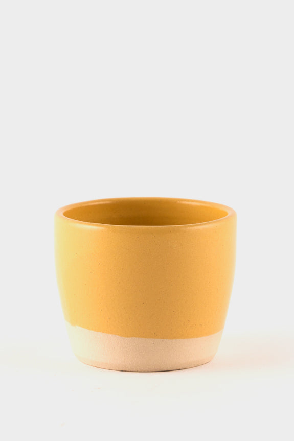 Dor & Tan Tea Bowl - Gorse Yellow